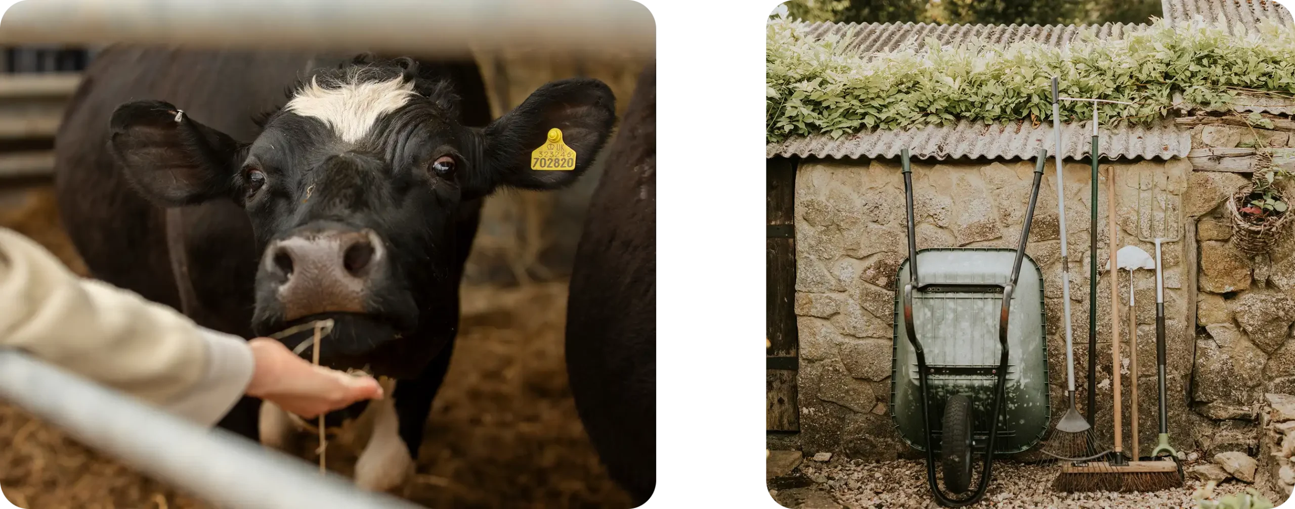 Montalia ubicación estratégica: punto intermedio y de fácil acceso entre Antigua Guatemala y San Bartolomé Milpas Altas, ofreciendo un entorno natural privilegiado y tranquilo