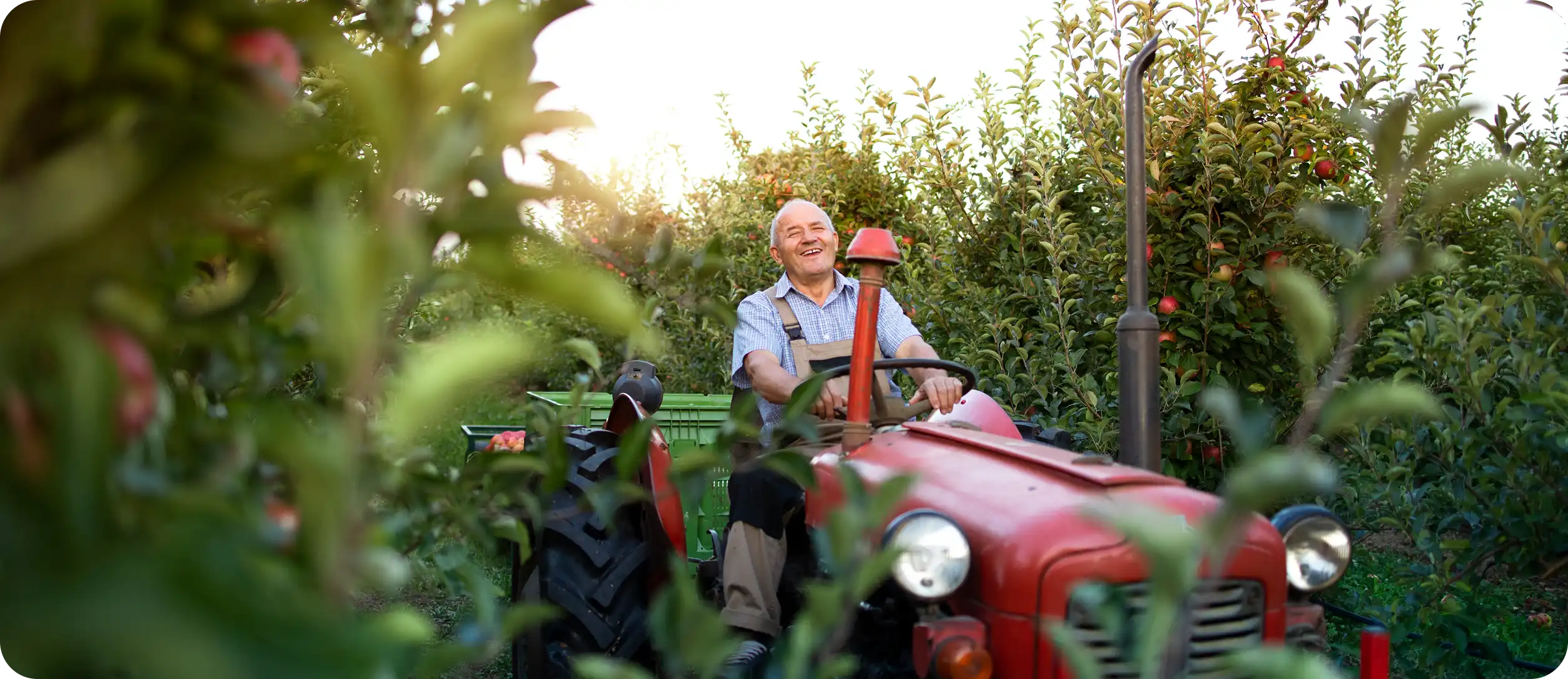 Acceso exclusivo y seguridad Montalia: carretera privada, garita de acceso y amplios parqueos, garantizando privacidad y fácil acceso a este destino Sacatepéquez desde Antigua Guatemala